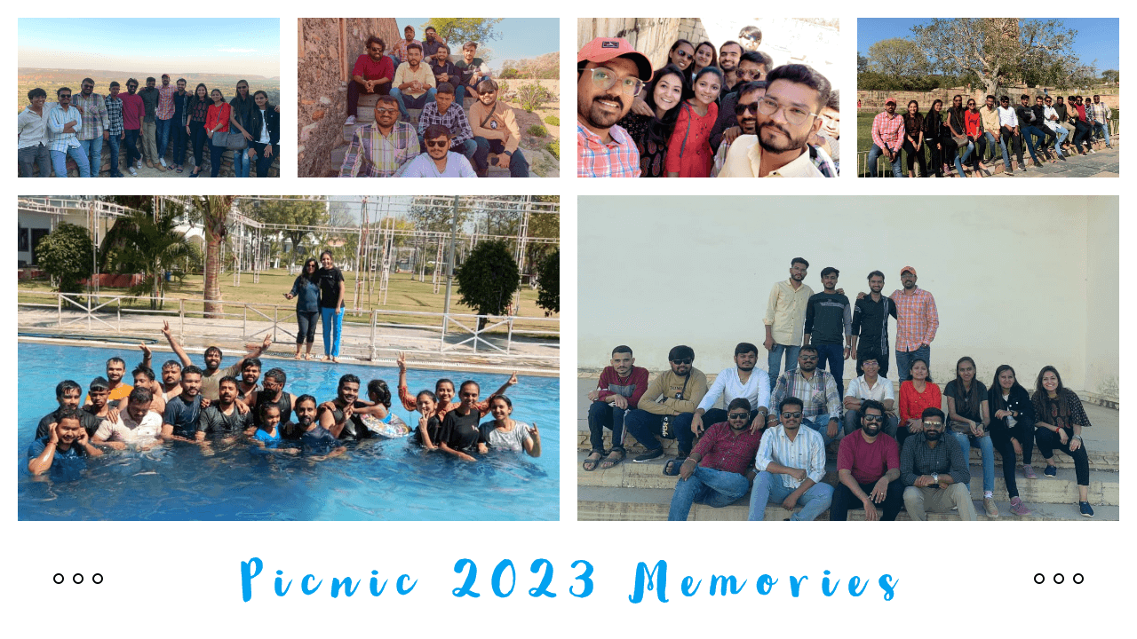 Picnic 2023 Memories
